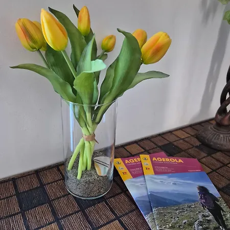 La Cicogna Bed and breakfast Agerola