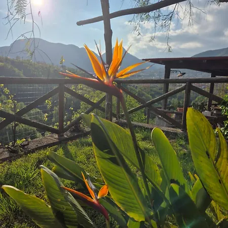 Bed and breakfast La Cicogna 3*