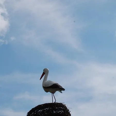 La Cicogna 3* Agerola