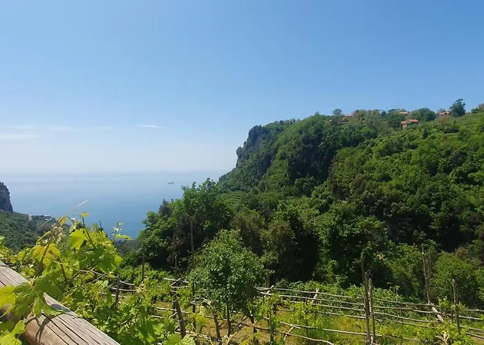 Oda ve Kahvaltı La Cicogna