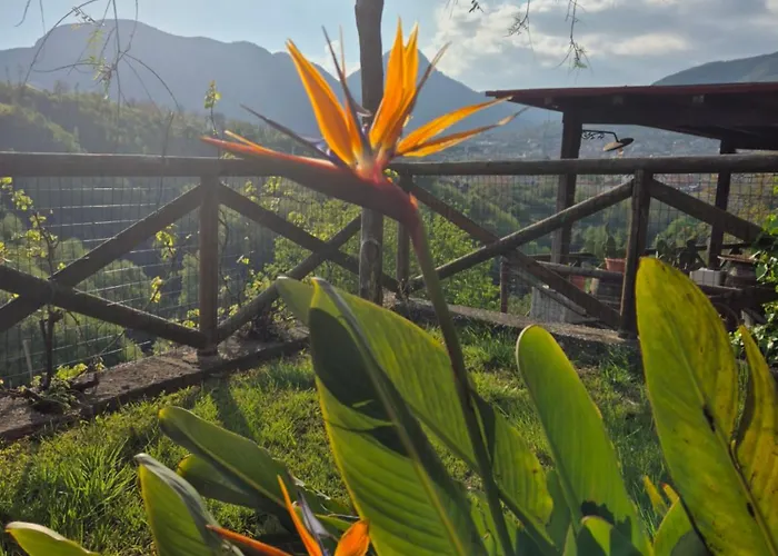 Oda ve Kahvaltı La Cicogna 3*