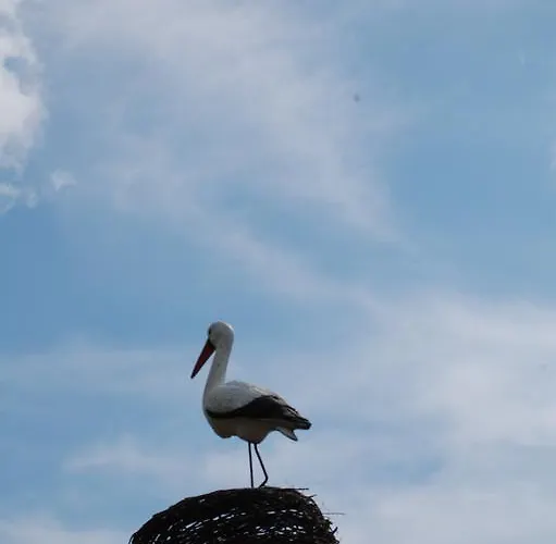 La Cicogna 3* Agerola
